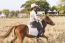 Woman Smiling With Relax Time On Small Horse