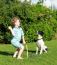 Boy Playing Cricket With Spaniel Dog