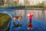 Girl Standing In A Pool Playing With The Dog