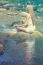 Beautiful Woman Practive Yoga On River In Nature