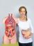 Woman Showing Intestines Model And Human Body