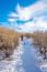 Woman Walking On Trail With Snow In Mountains