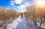 Woman Walking On Trail With Snow In Mountains