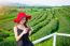 Beautiful Girl With Red Hat In Green Tea Mountain