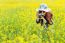 Woman Taking Photos At A Rapeseed Flowers