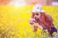 Woman Taking Photos At A Rapeseed Flowers