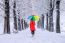 Girl With Colourful Umbrella Walking On The Path And Row Trees. Winter