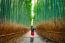 Woman Take A Photo At Bamboo Forest In Kyoto, Japan