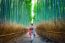 Bamboo Forest. Asian Woman Wearing Japanese Traditional Kimono At Bamboo Forest In Kyoto, Japan