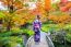 Asian Woman Wearing Japanese Traditional Kimono In Autumn Park. Japan