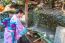 Asian Women In Traditional Japanese Kimonos At Fushimi Inari Shrine In Kyoto, Japan