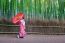 Bamboo Forest. Asian Woman Wearing Japanese Traditional Kimono At Bamboo Forest In Kyoto, Japan