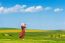 Woman Standing On Green Grass In Green Tea Field