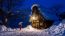 Young Woman In Shirakawa-go Village In Winter, Unesco World Heritage Sites, Japan