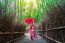 Bamboo Forest. Asian Woman Wearing Japanese Traditional Kimono At Bamboo Forest In Kyoto, Japan