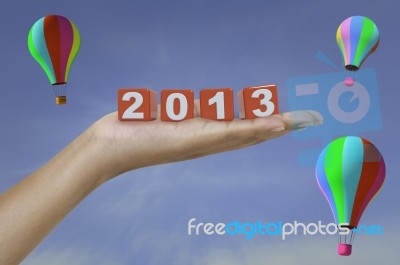 2013 On Palm Stock Photo