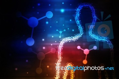 2d Illustration Human Male Muscle Body Stock Image