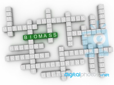 3d Biomass Concept Word Cloud Stock Image