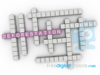 3d Deforestation Word Cloud Concept Stock Image