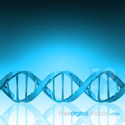 3d Dna Structure Model Stock Image