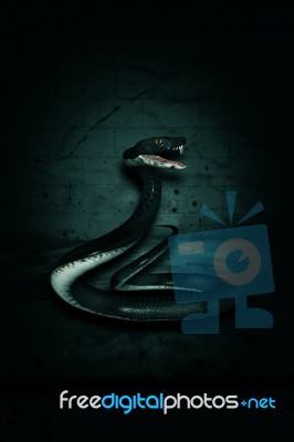 3d Illustration Of Giant Snake In The Dark Stock Image