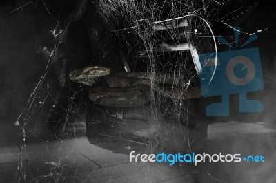 3d Illustration Of Giant Snake On Treasure Chest In The Dark Stock Image