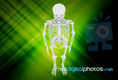 3d Illustration Of  Human Skulls Stock Photo Stock Image