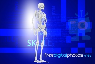 3d Illustration Of  Human Skulls Stock Photo Stock Image