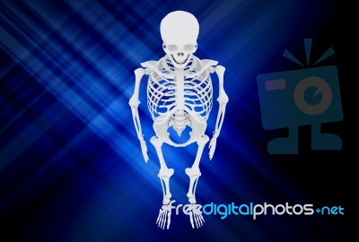 3d Illustration Of  Human Skulls Stock Photo Stock Image