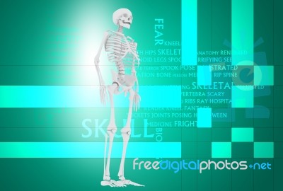 3d Illustration Of  Human Skulls Stock Photo Stock Image