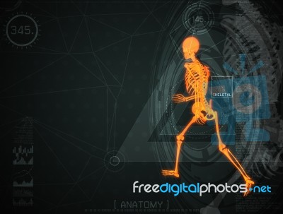 3d Illustration Of  Walking Fire Skeleton By X-rays On Backgroun… Stock Image