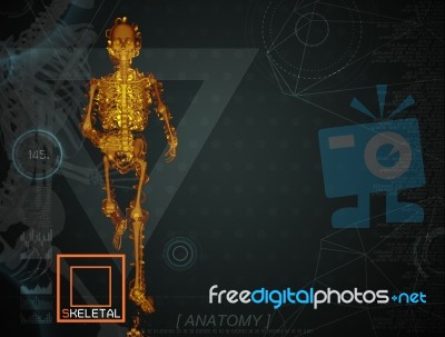 3d Illustration Of  Walking Fire Skeleton By X-rays On Backgroun… Stock Image