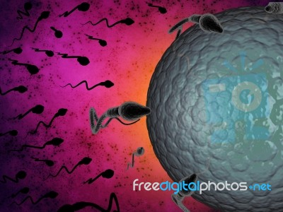 3d Illustration Sperm And Egg Cell Stock Image