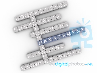 3d Image Management  Issues Concept Word Cloud Background Stock Image