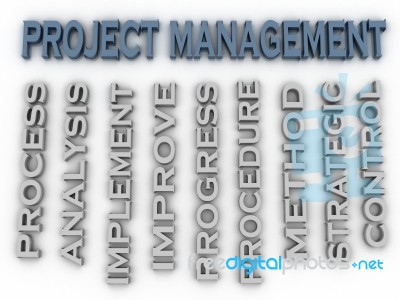 3d Image Project Management Issues Concept Word Cloud Background… Stock Image