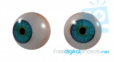 3d Medical Illustration Of The Eye Stock Image