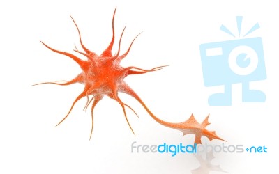 3d Neuron Cell Stock Image