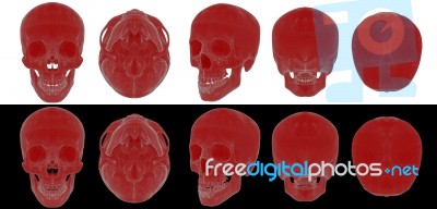 3d Render Medical Illustration Of The Skull Stock Image