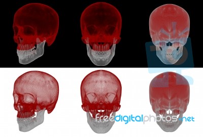 3d Render Medical Illustration Of The Upper Skull Stock Image