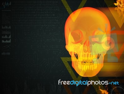 3d Render Of The Human X Ray Skull Stock Image