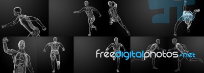 3d Render Running Skeleton By X-rays Stock Image