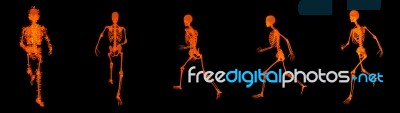 3d Render Walking Fire Skeleton By X-rays In Red Stock Image