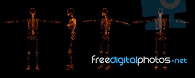 3d Render Walking  Skeleton By X-rays Stock Image