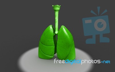 3d Rendered Lungs Stock Image