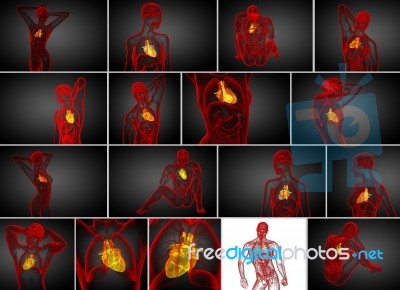 3d Rendering Commedical Illustration Of A Human Heart Stock Image