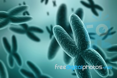 3d Rendering Human Body Chromosomes Stock Image