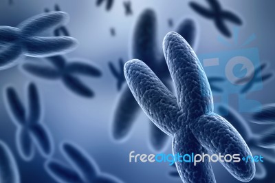 3d Rendering Human Body Chromosomes Stock Image