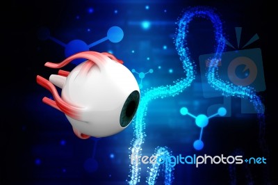 3d Rendering Human Eye Structure Stock Image