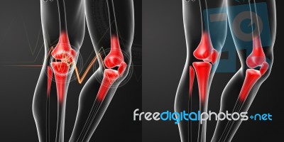 3d Rendering Human Knee Pain With The Anatomy Of A Skeleton Leg Stock Image