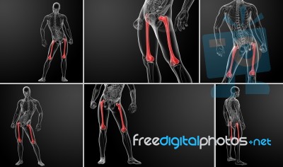 3d Rendering Illustration Of Femur Bone Stock Image